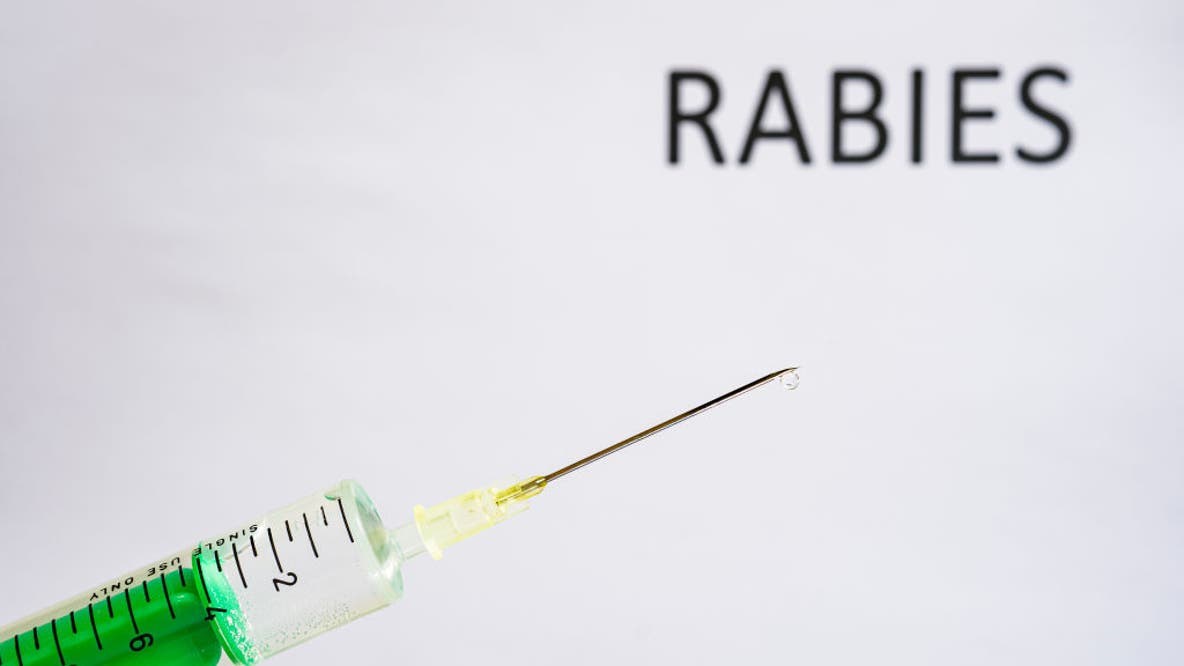 2 more rabid animals identified in Maryland following beaver attacks