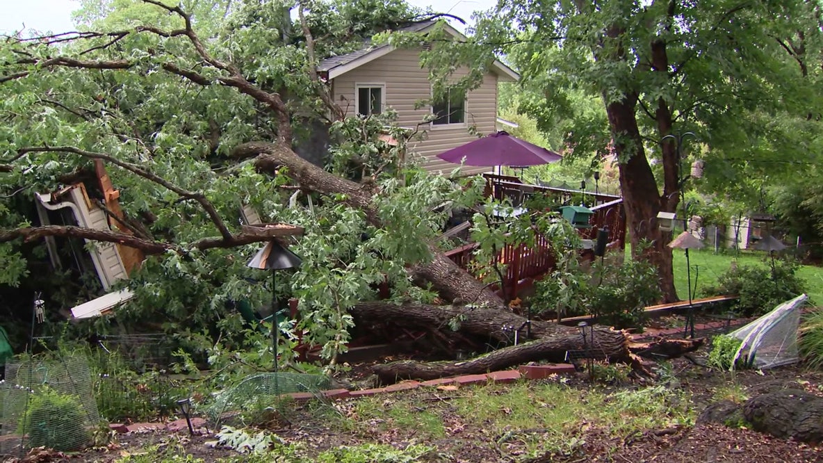 Severe storms leave widespread damage, scattered power outages across DC region