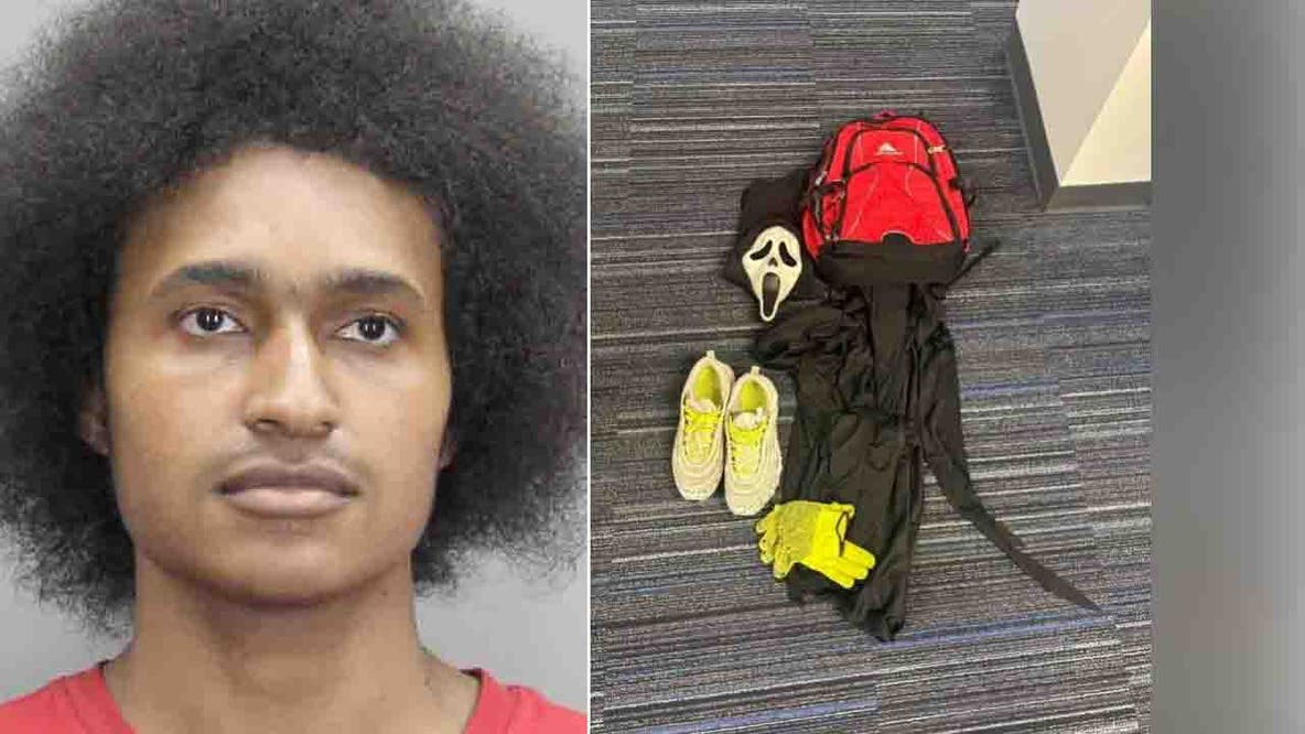 'Scream'-masked man suspected in multiple Virginia property damage cases, police say