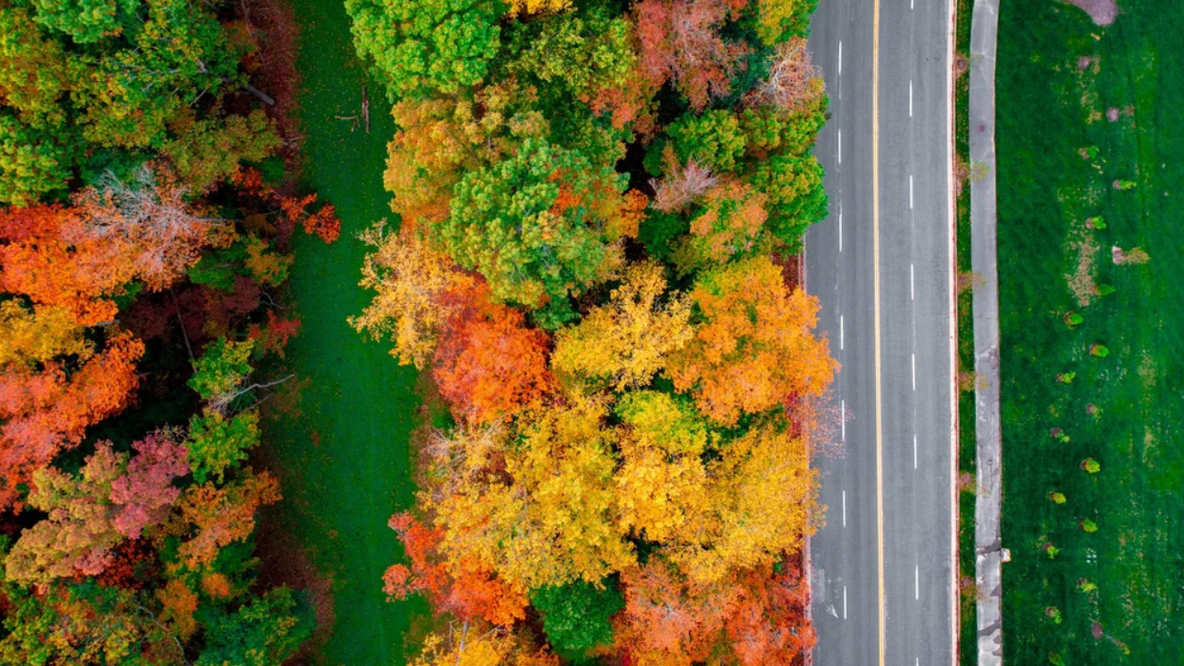 When is the first day of fall in Virginia? When foliage could start changing in 2026