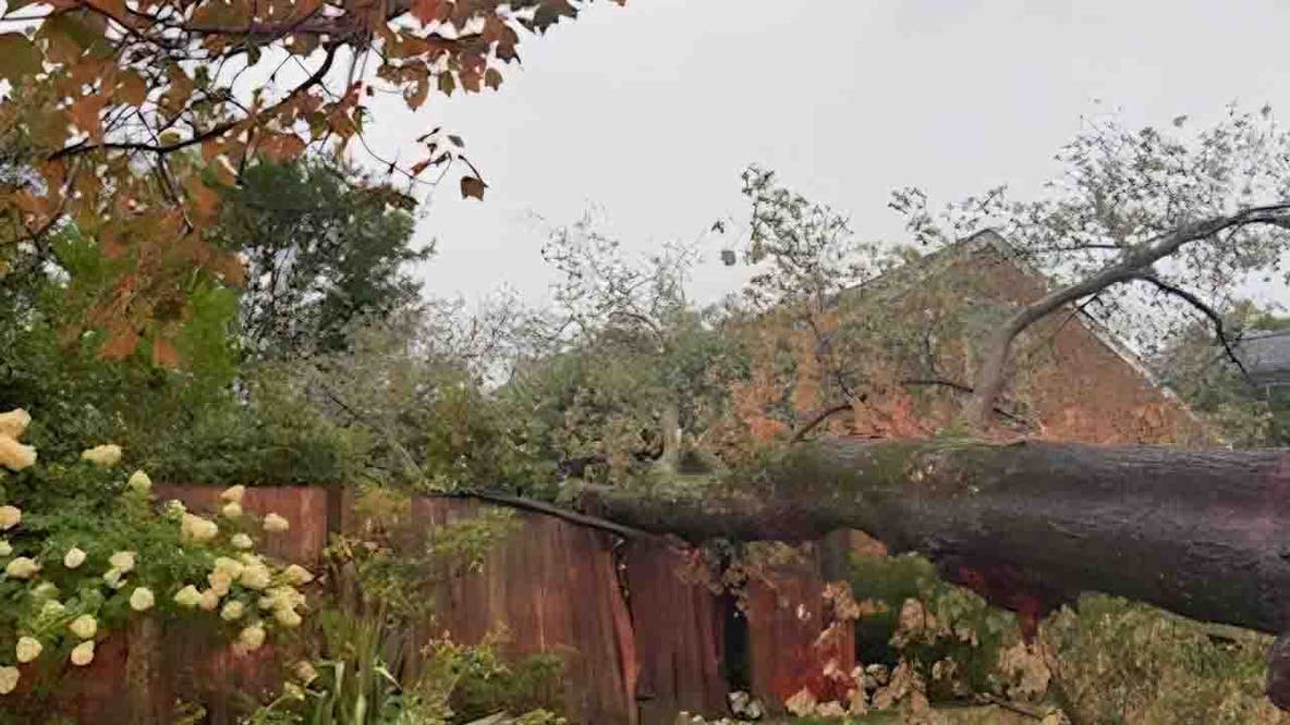 Severe storms leave widespread damage across DC region