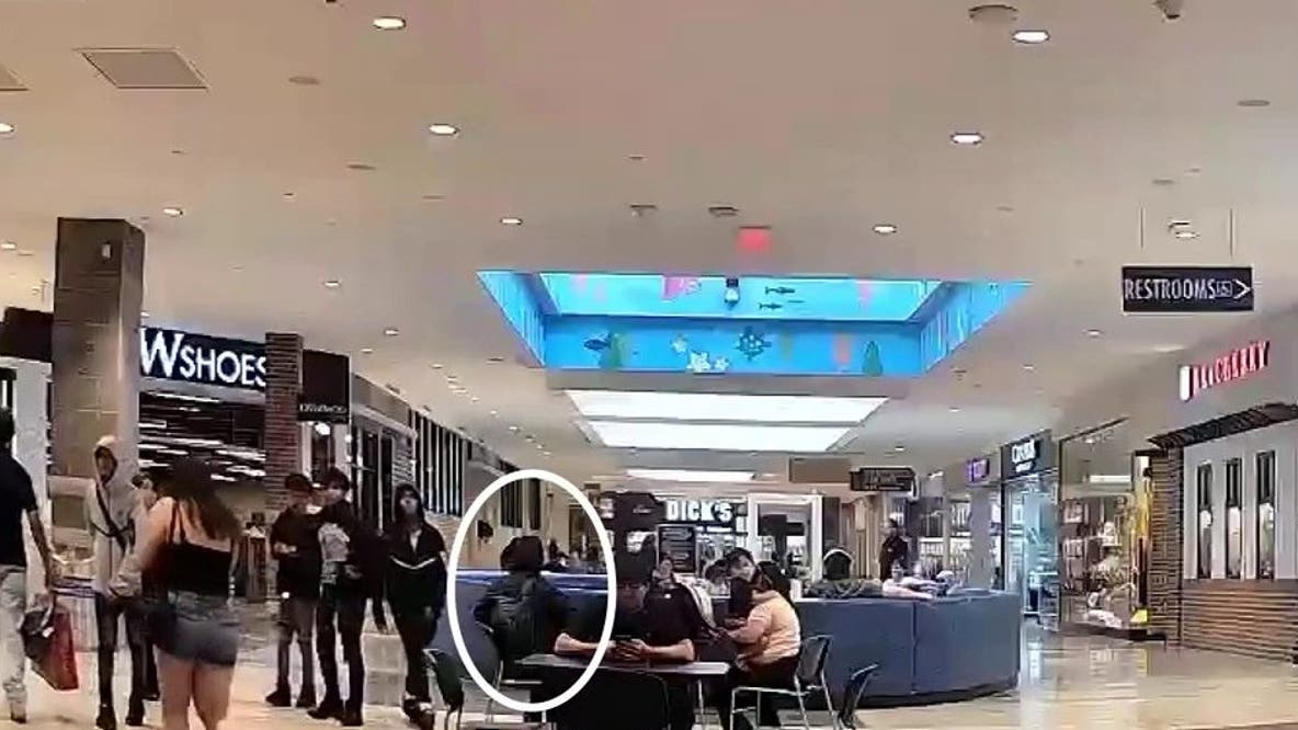Teen held without bail after shooting at Westfield Wheaton Mall as new video released