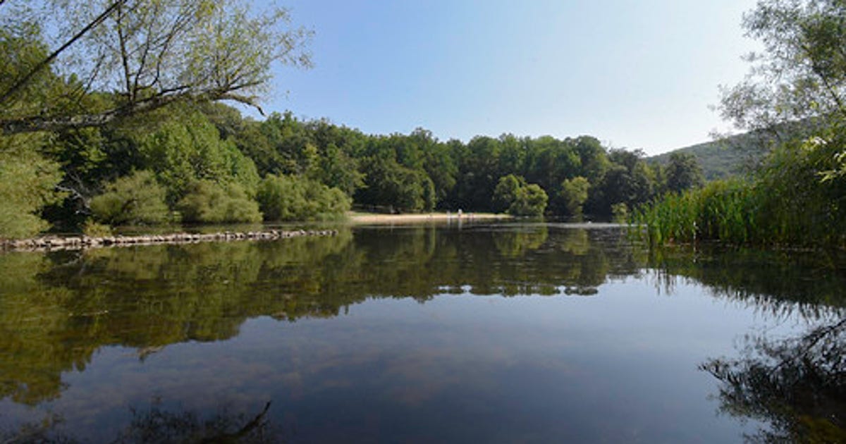Portions of Maryland state park reopen after 2 rabid beaver attacks
