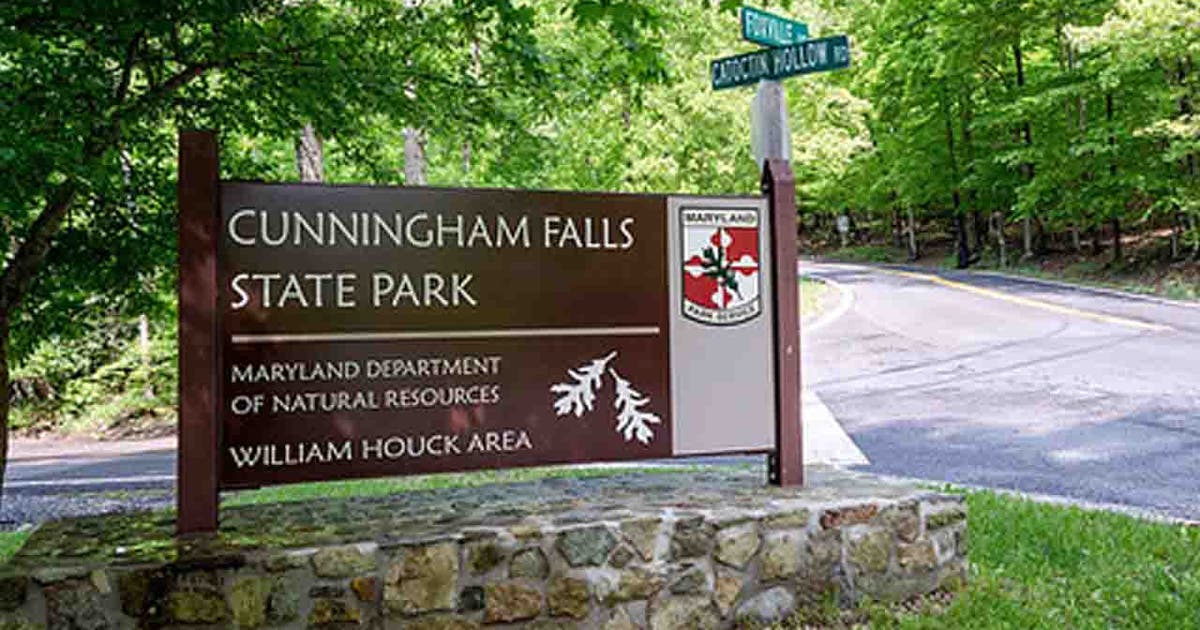 Second beaver attack prompts DNR to close additional areas of Maryland state park