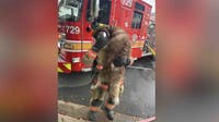 Dog resuscitated after kitchen fire in Germantown