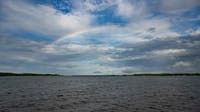 Maryland says it hit nearly every Chesapeake Bay pollution target, turns to 2040