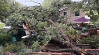 DC weather: Severe thunderstorms, property damage across Montgomery County