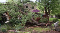 Severe storms leave widespread damage, scattered power outages across DC region