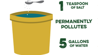 Road salt pollution reaches toxic levels in Loudoun County streams, report finds