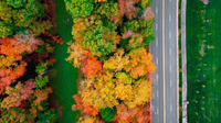 When is the first day of fall in Virginia? When foliage could start changing in 2026