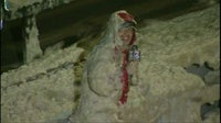 Tucker Barnes celebrates 15th Sea Foam anniversary