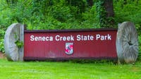 3rd beaver attack in Maryland prompts closures at Seneca Creek State Park