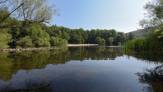Portions of Maryland state park reopen after 2 rabid beaver attacks