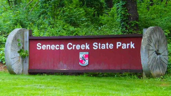 Beaver tests positive for rabies at Montgomery County park after attack