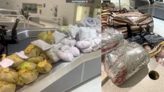 NY men busted with 847 pounds of illegal khat at Maryland airport