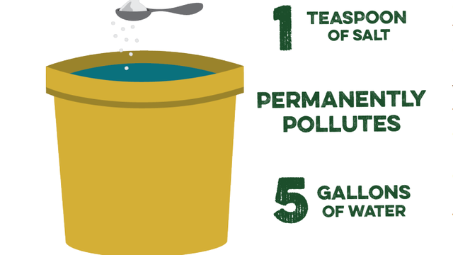 Road salt pollution reaches toxic levels in Loudoun County streams, report finds