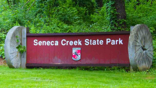3rd beaver attack in Maryland prompts closures at Seneca Creek State Park
