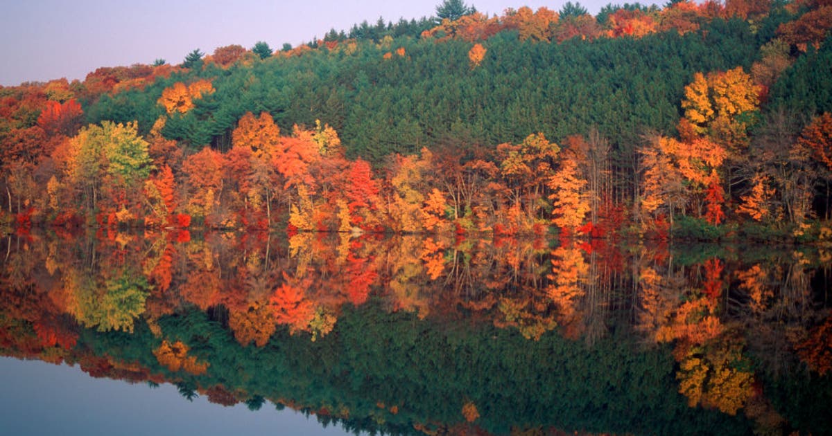 When is the best time to see peak fall colors across the Northeast?