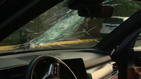 Rock thrown from overpass smashes through windshield of Northern Virginia couple