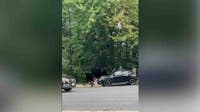 Teen hospitalized after being struck walking to school in Fairfax County