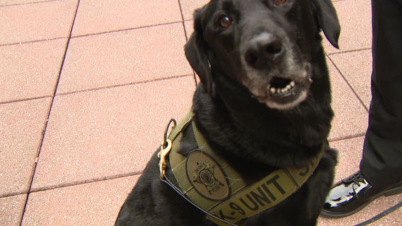Electronic sniffing K9 headed to Arlington County Police Department