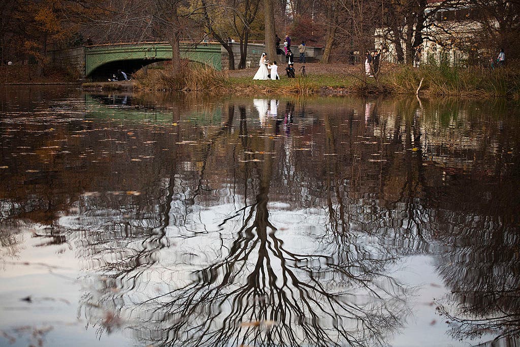 2026 Thanksgiving weather forecast: Farmers' Almanac predictions for the Northeast