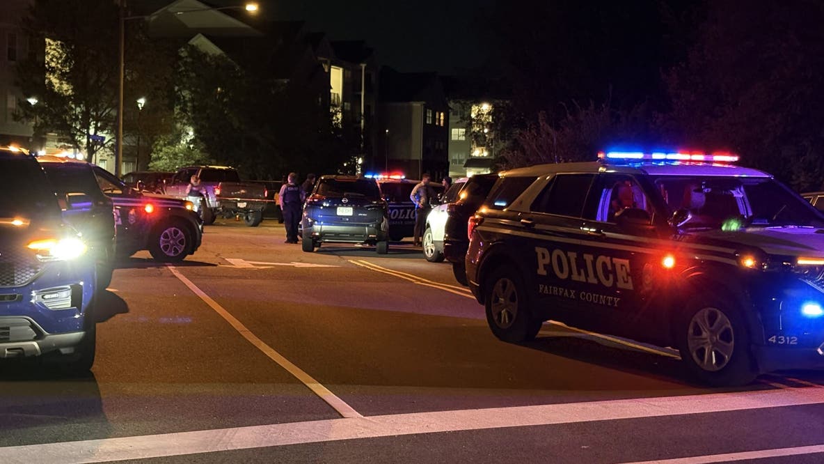 2 men injured in Fairfax County domestic shooting