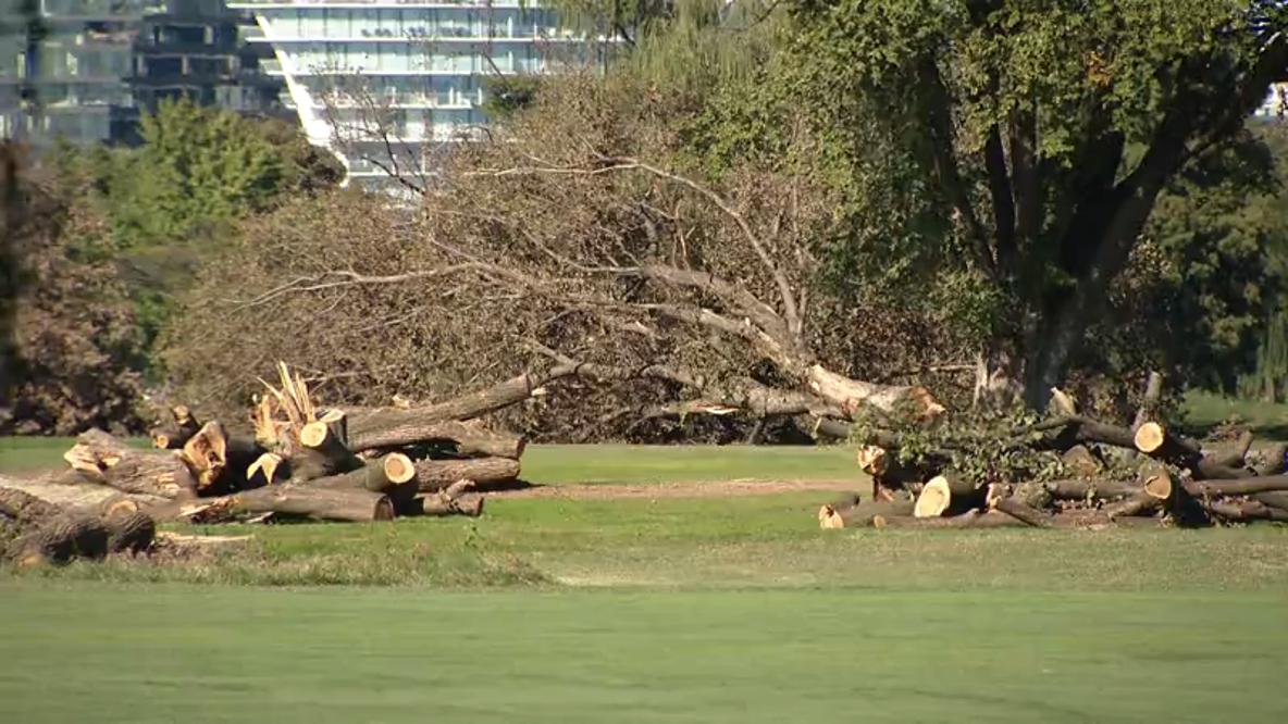 Judge presses Trump officials in hearing over East Potomac Golf Course plan