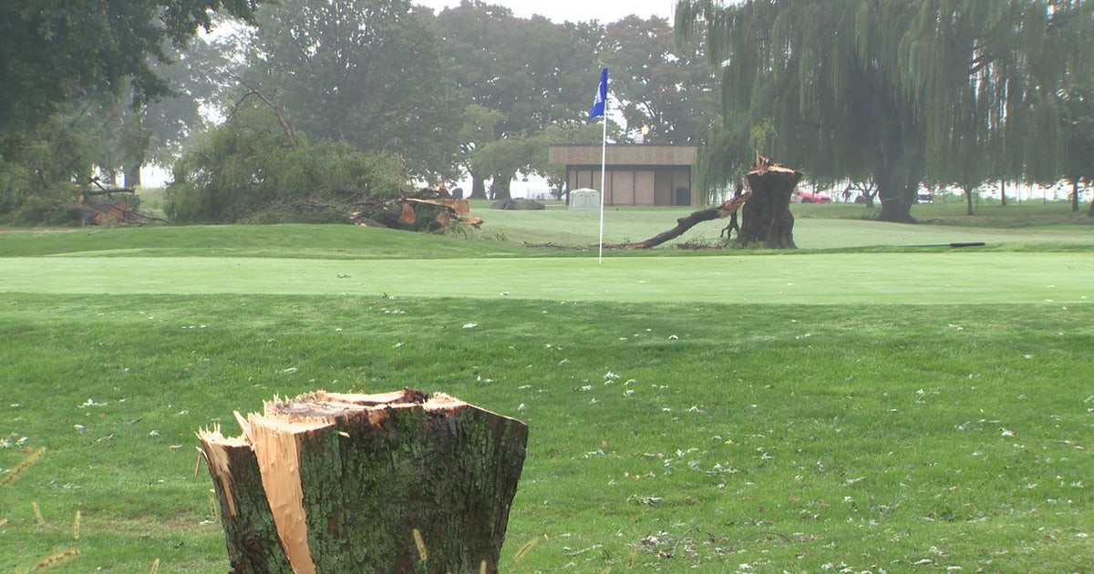Judge Ana Reyes bars Trump administration from cutting more trees at DC golf course