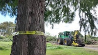 Judge extends court-ordered block on Trump renovation plans for DC’s East Potomac Golf Course
