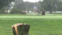 National Park Service cuts down 500 trees at East Potomac Golf Course