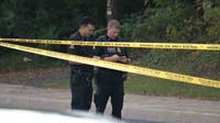 Woman struck, killed by vehicle on Randolph Road in Colesville
