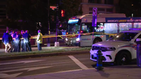 Pedestrian struck by Metro Bus in Northwest DC