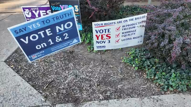 Lawsuit targets Virginia same-sex marriage ballot question