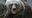 Bicyclist in Alaska gets mauled by 500-pound bear