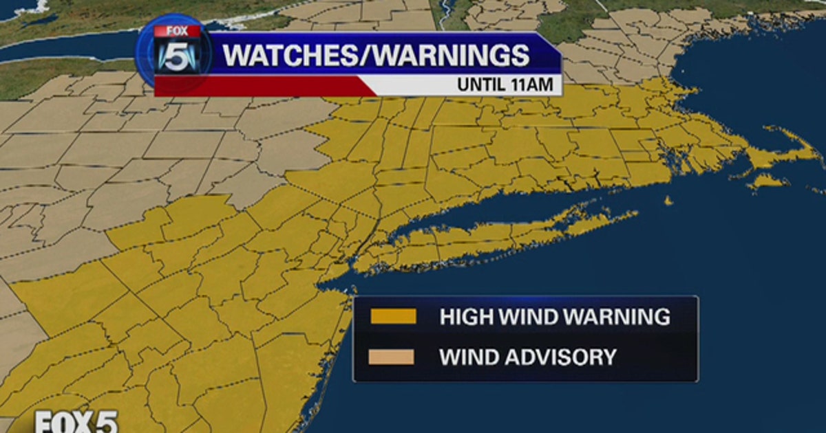 High winds knock out power across New York | FOX 5 New York