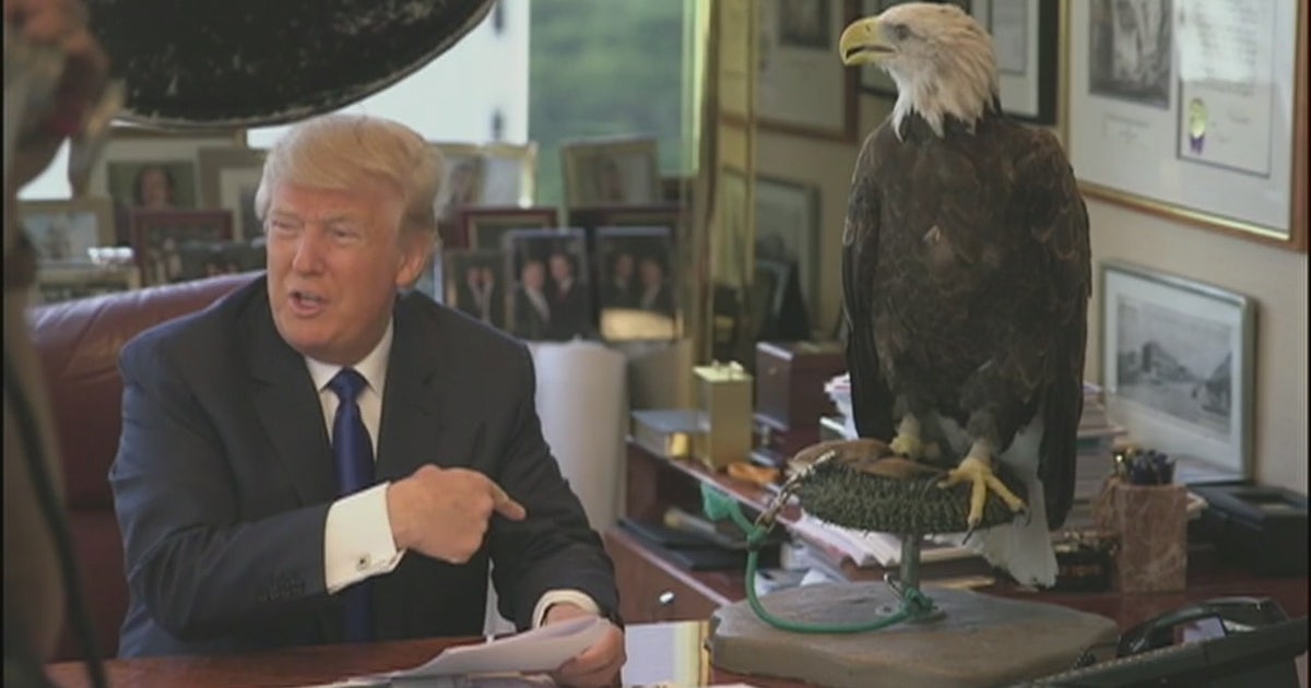 Bald eagle snaps at Trump | FOX 5 New York