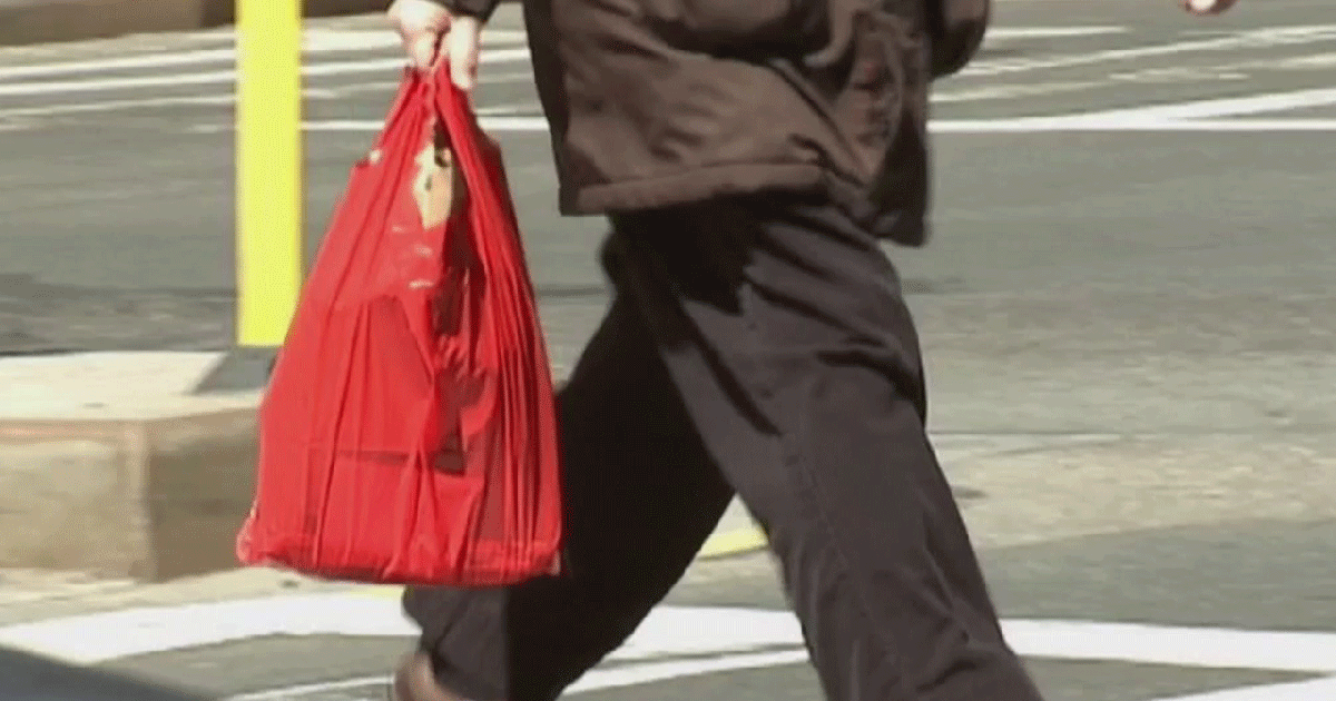 Plastic bag ban throughout NYS gaining traction | FOX 5 New York