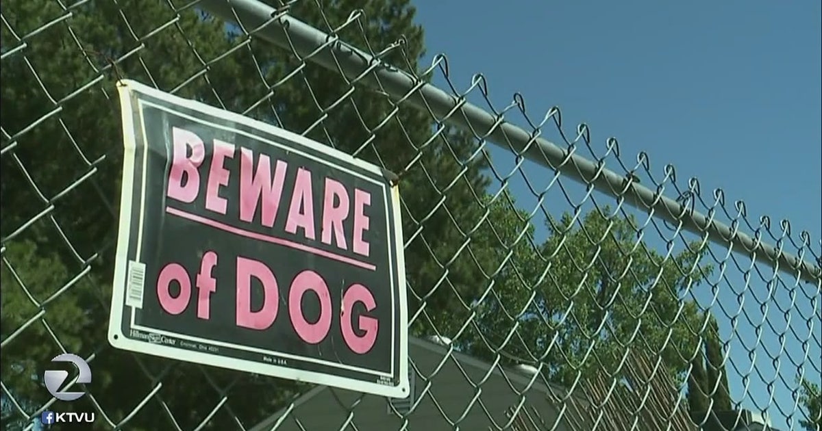 Woman seriously injured in attack by own dog | FOX 5 New York