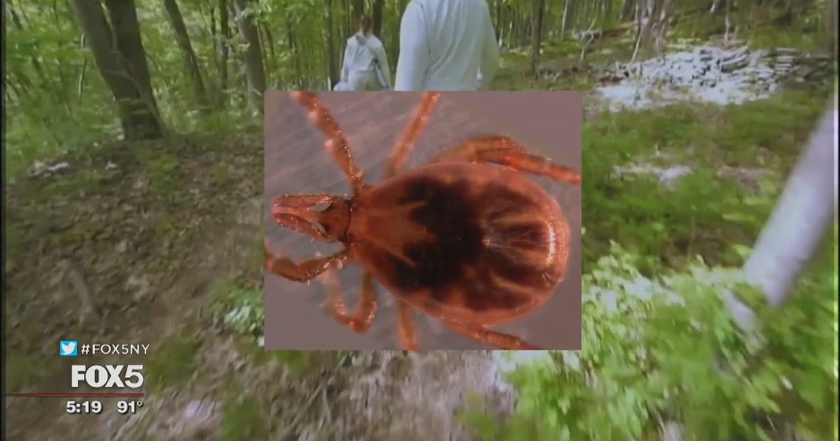 Tick-control program launched in New York to fight Lyme disease | FOX 5 ...