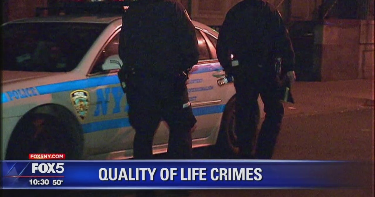 NYPD officers' discretion in low-level offenses | FOX 5 New York