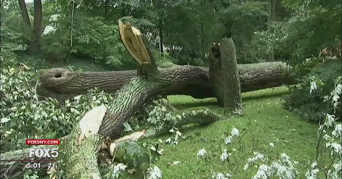 Fierce storm floods streets, knocks down trees in New Jersey | FOX 5 ...