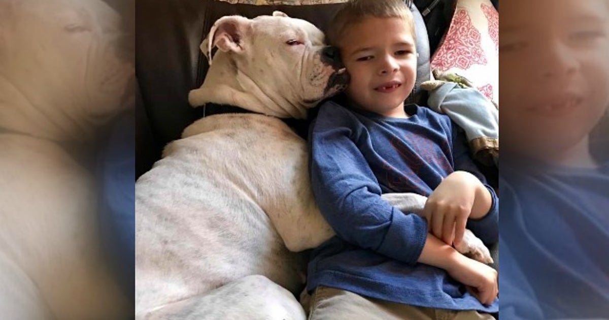 Boy with special needs forms touching bond with deaf dog | FOX 5 New York