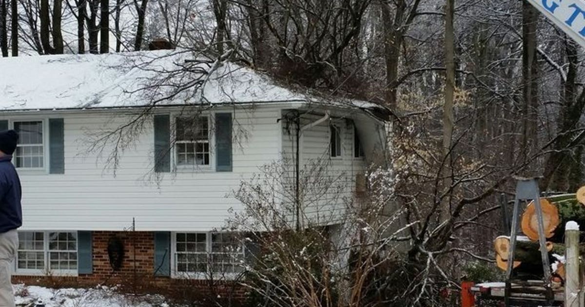 Woman killed in bed by falling tree, husband trapped | FOX 5 New York