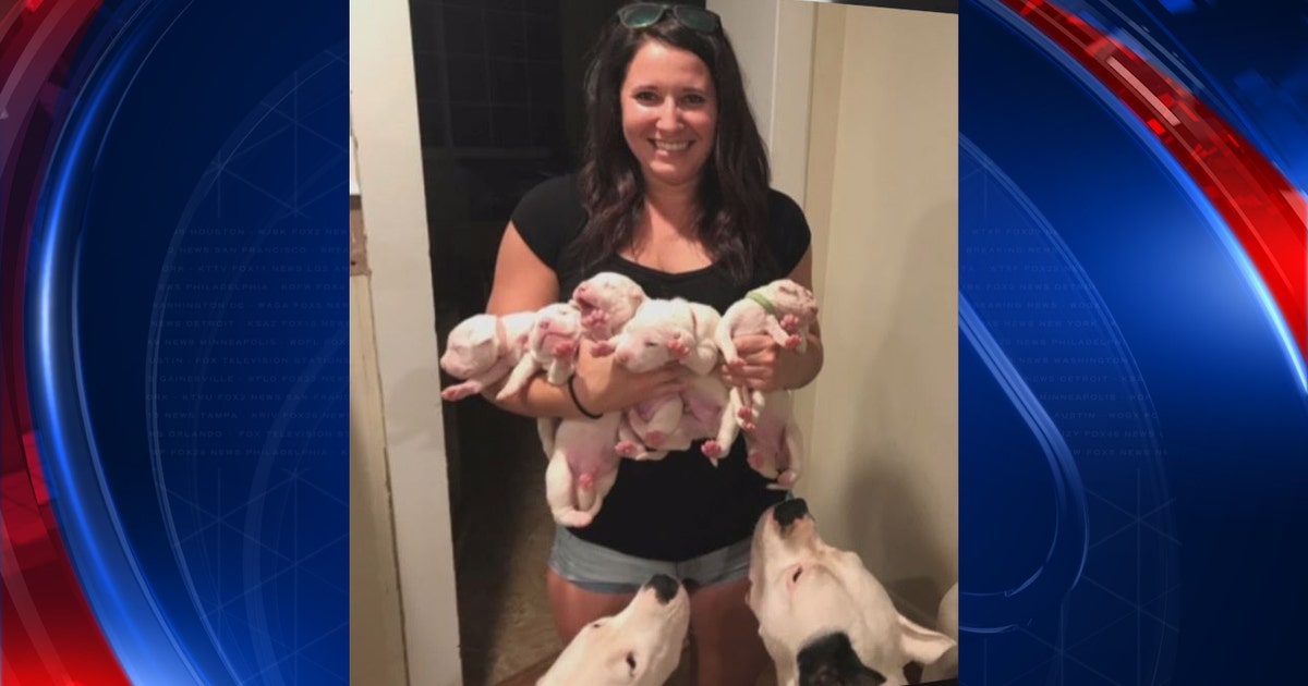 Police: Woman dies after being attacked by fiance's dog | FOX 5 New York