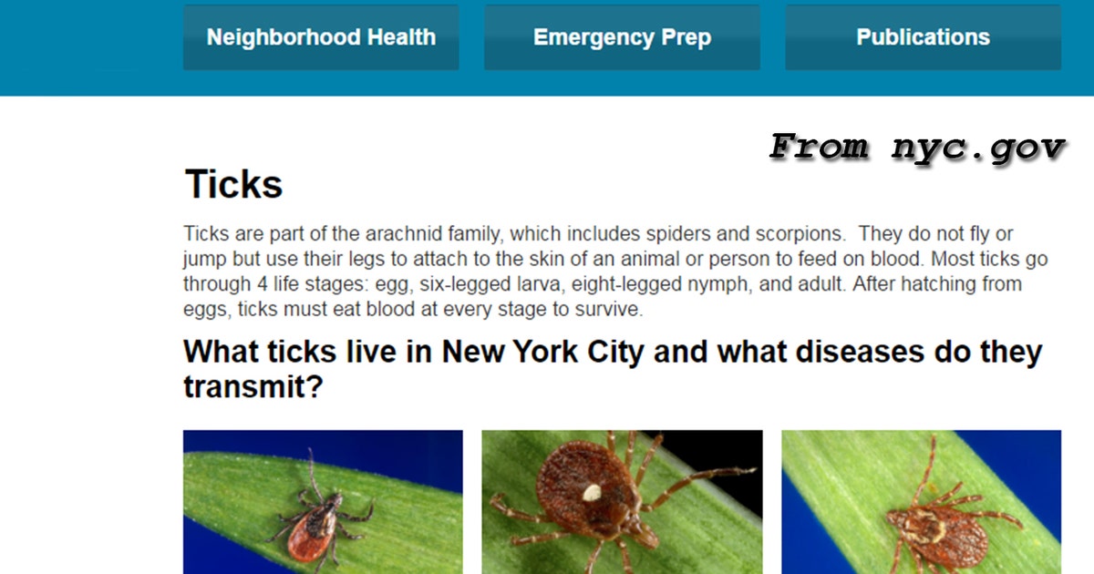 Disease-carrying tick warning in New York City | FOX 5 New York