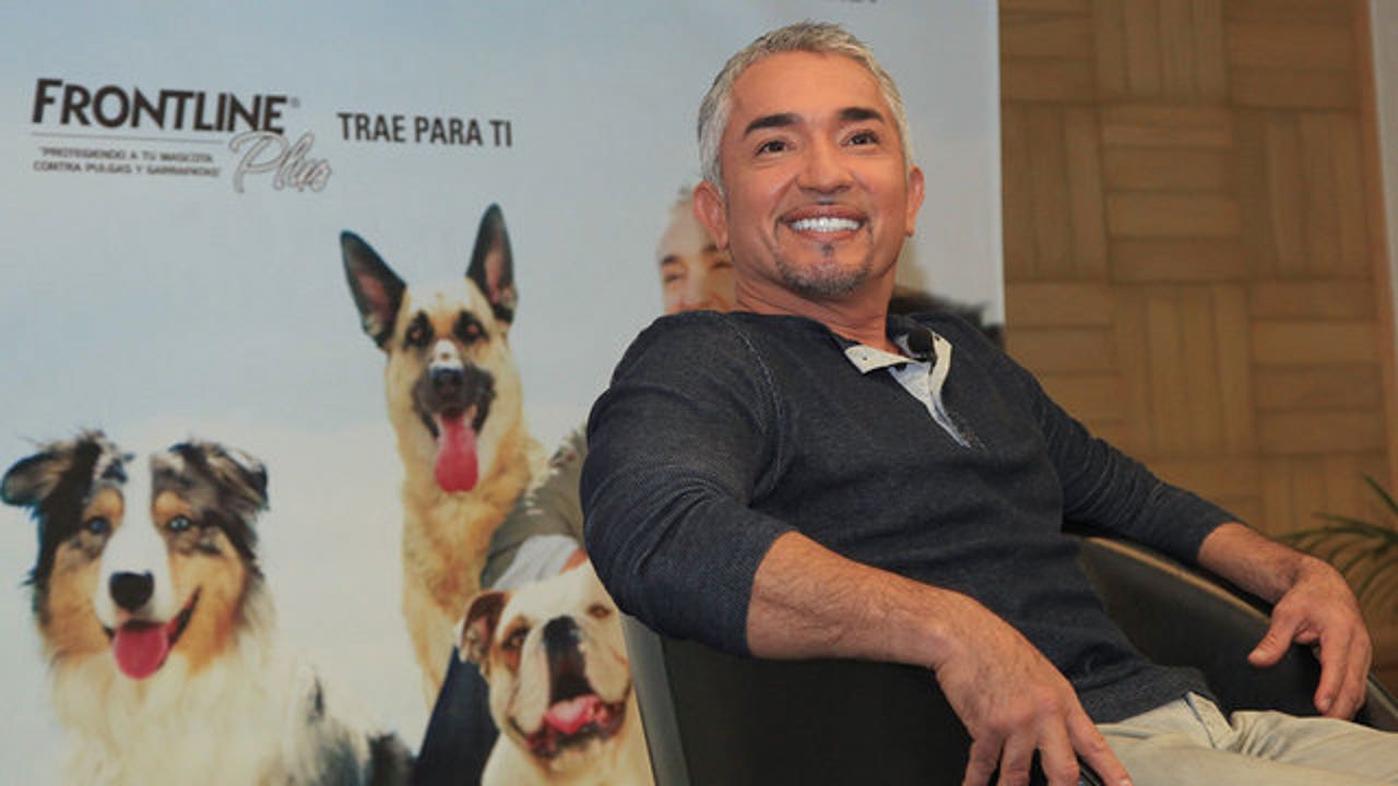 Cesar millan 2024 show 2019