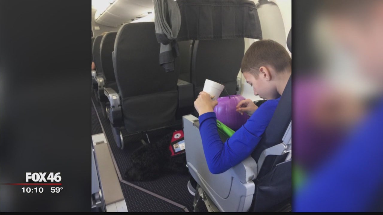 Family says service dog kicked off flight because "he was too big