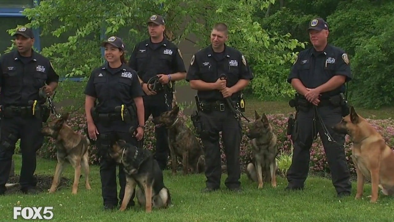 How the MTA Police Canine Unit trains to keep riders safe
