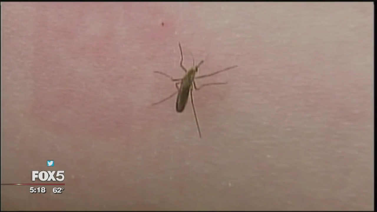 Cold Snowy Spring Means Fewer Mosquitoes